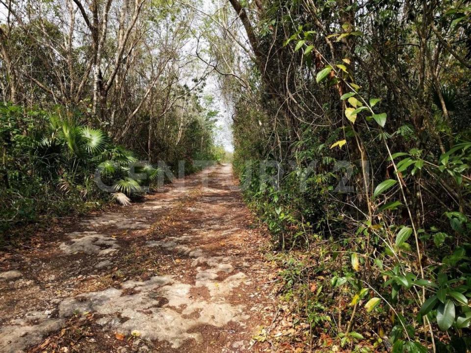 00 00,, Cancún/Benito Juárez, 金塔纳罗奥 77540, 墨西哥