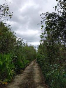 00 00,, Cancún/Benito Juárez, 金塔纳罗奥 77540, 墨西哥