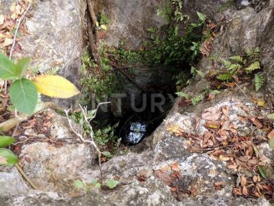 00 00,, Cancún/Benito Juárez, 金塔纳罗奥 77540, 墨西哥