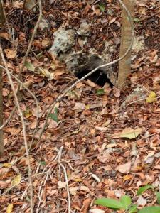 00 00,, Cancún/Benito Juárez, 金塔纳罗奥 77540, 墨西哥