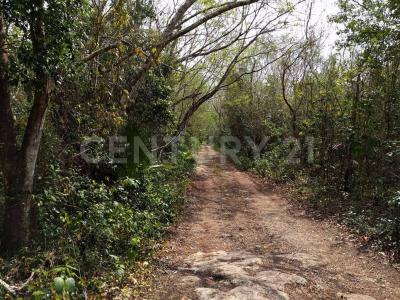 00 00,, Cancún/Benito Juárez, 金塔纳罗奥 77540, 墨西哥