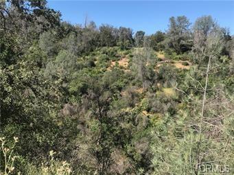 4521 Alamo Creek Rd., Mariposa, 캘리포니아 95338, 미국