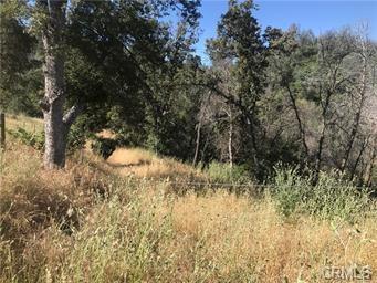 4521 Alamo Creek Rd., Mariposa, 캘리포니아 95338, 미국