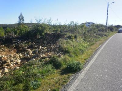 Penela, Coimbra 3230-521, Portugal