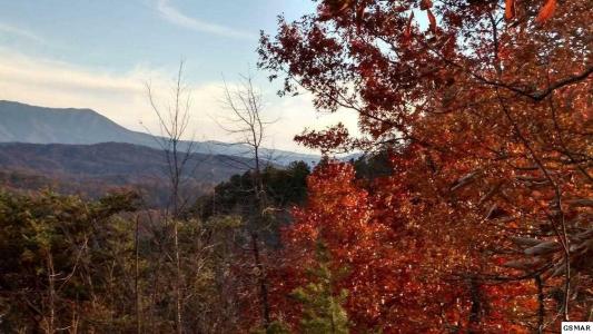 Lot 10 Blackthorn Trl., Sevierville, Tennessee 37876, Estados Unidos