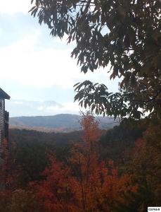 Lot 10 Blackthorn Trl., Sevierville, Tennessee 37876, Estados Unidos