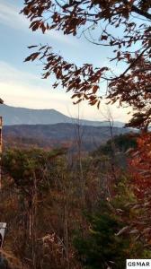 Lot 10 Blackthorn Trl., Sevierville, Tennessee 37876, Estados Unidos