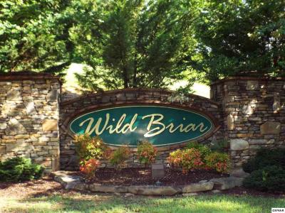 Lot 6 Blackthorn Trail, Sevierville, Tennessee 37876, USA