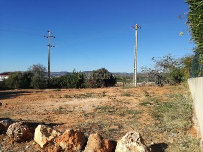 파로, 파로 8005-021, 포르투갈