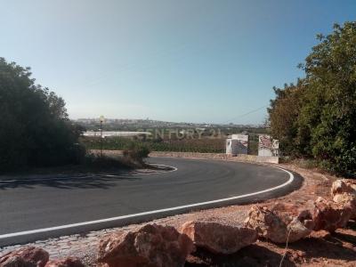 파로, 파로 8005-021, 포르투갈