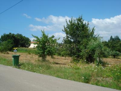 Vila Nova De Poiares, קוימברה 3350-071, פורטוגל