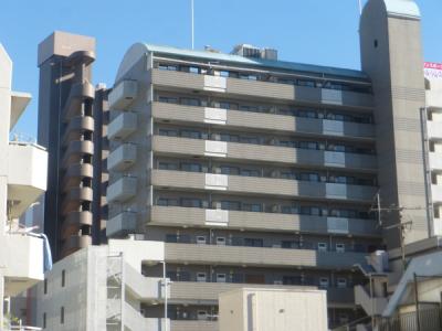 1107, 松戸1339-1, 東京ロイヤルコート, 松戸市, Chiba 271-0092, Japan