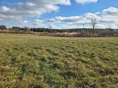 Lot 10 Woodsview Rd, Marshfield, Wisconsin 54449, USA