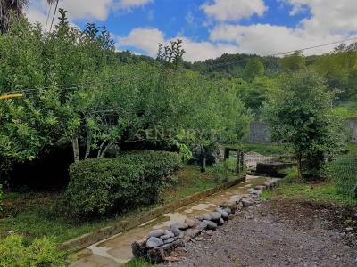 Povoação, São Miguel Island 9675-052, Portugal