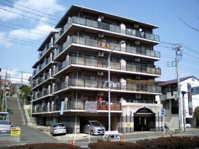 305, すみれが丘43-19, バイオレットヒルズ, 横浜市都筑区, Kanagawa 224-0013, Japan