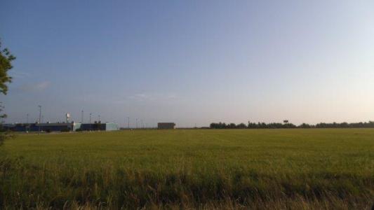 E. Miller Ave Lot 2, アイオワ, ルイジアナ 70647, アメリカ合衆国