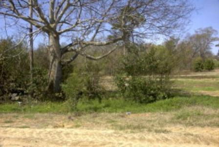 3291 Broad Street, Sumter, SC 29150, USA