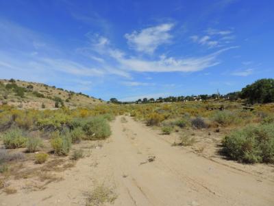 NYA PINON HILLS, FARMINGTON, ニューメキシコ 87401, アメリカ合衆国