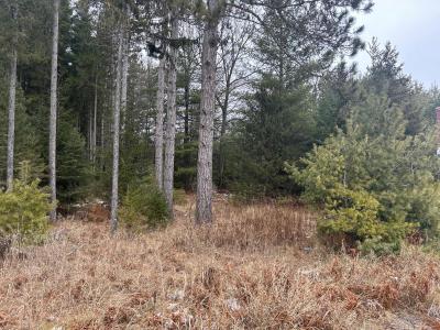 4365 Wall St., Eagle River, Wisconsin 54521