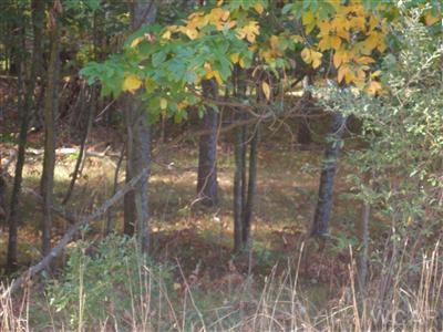 10412 Mountain View Trail lot 378, Canadian Lakes, Michigan 49346, États-Unis