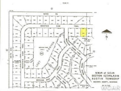 10412 Mountain View Trail lot 378, Canadian Lakes, Michigan 49346, États-Unis