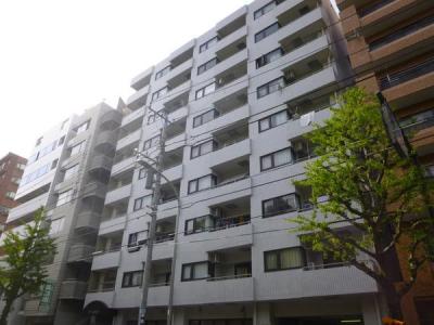 803, 弥生町4丁目39-2, 第一山本ビル, 横浜市中区, Kanagawa 231-0058, Japan