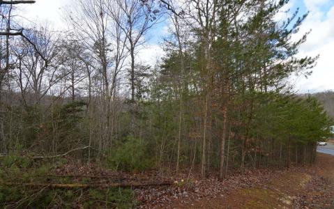 Lot 48 Laurel Brooke, Blairsville, Georgia 30512