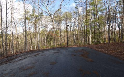 Lot 26 Coosa Bend Drive, Blairsville, Georgia 30512