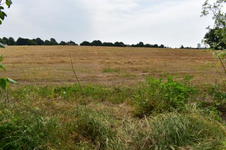 TBD South Eisenhower , Monett, Missouri 65708, USA