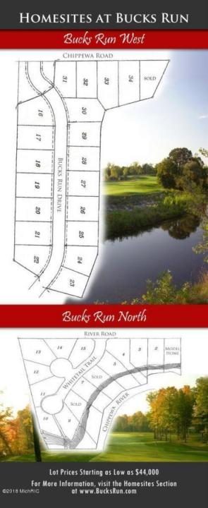 Bucks Run Drive Lot 28, Mount Pleasant, Мичиган 48858, Соединенные Штаты