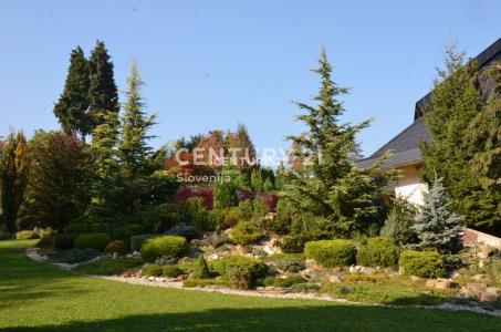 Rače - Fram, Rače - Fram, Podravska 2313, סלובניה