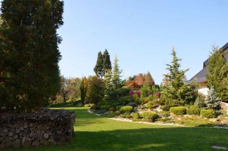 Rače - Fram, Rače - Fram, Podravska 2313, סלובניה