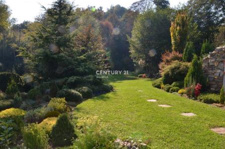 Rače - Fram, Rače - Fram, Podravska 2313, סלובניה