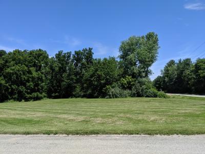 Lot 5 Tammy Dale Ln, Charleston, Illinois 61920