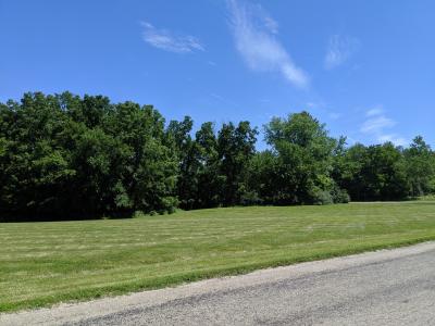 Lot 5 Tammy Dale Ln, Charleston, Illinois 61920