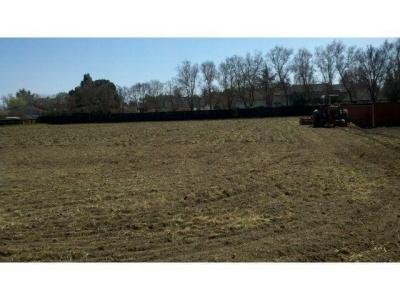 8348 W Valpico Road, Tracy, California 95304, Estados Unidos
