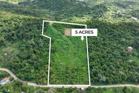 Bacolet Farm Lot, Bailies Bacolet, Bailies Bacolet, St.David West Indies, Grenada