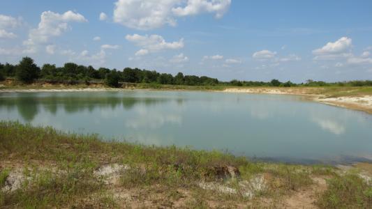 0 Highway 114, Boyd, Texas 76023, Stati Uniti
