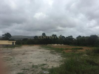 Gondomar, Porto 4435-132, Portugal