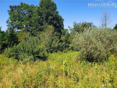 Lot #22 Isabel Way, Piney Creek, NC 28663, USA