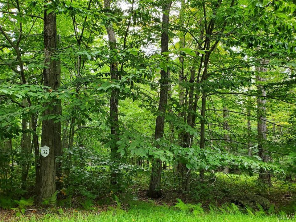 32 Tall Oak Drive #Lot 32, Tobyhanna Twp, Pennsylvania 18347, USA