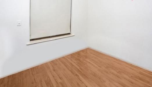 25B Patricia Avenue, Camden Park, SA 5038, 澳洲