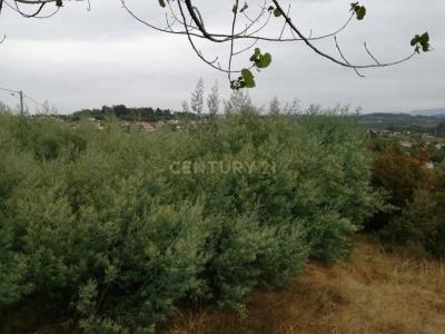 Sátão, Viseu 3561-907, Portugal