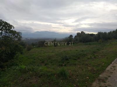 Fornos De Algodres, Guarda 6370-174, Portugal