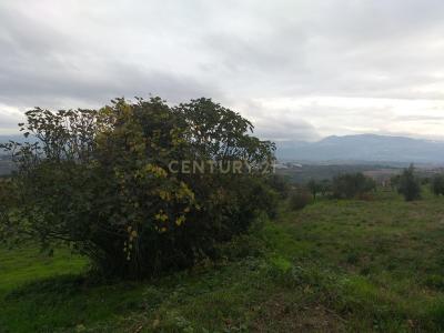 Fornos De Algodres, Guarda 6370-174, Portugal