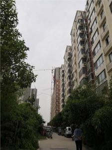 和平南路与武屯路交汇处西, Heze, China