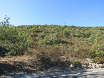 São Brás De Alportel, Faro 8150-052, Portugal