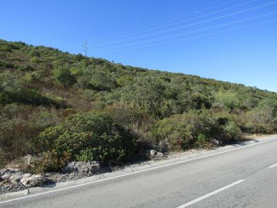 São Brás De Alportel, Faro 8150-052, Portugal