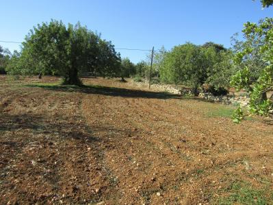São Brás De Alportel, Faro 8150-052, Portugal