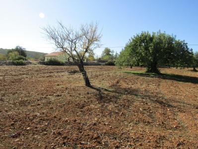 São Brás De Alportel, Faro 8150-052, Portugal